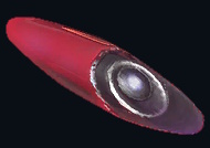 File:'Cor Vulnus' proton wall.jpg
