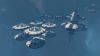 Defence Contract