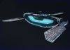 'Swap' teleportation module
