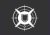 Flash_Icon.png