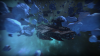 Operation 'Ice Belt'