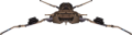 Thumbnail for version as of 16:00, 4 June 2026